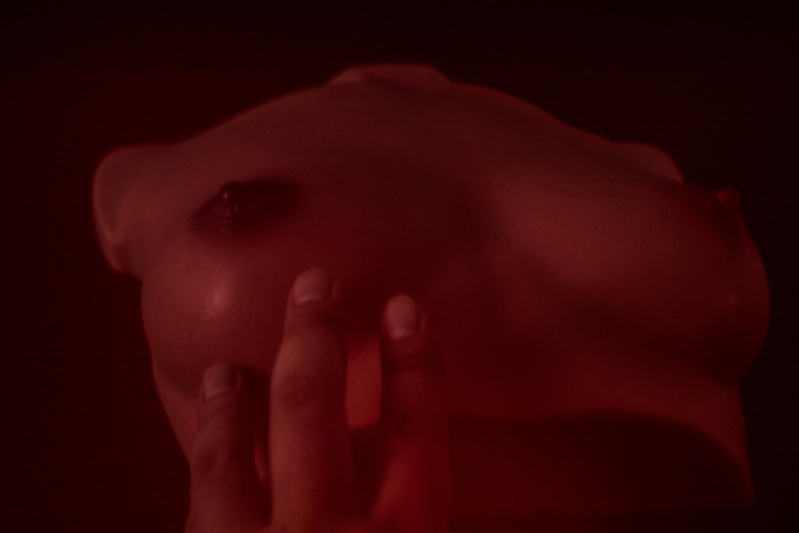 Chest (S) Torso Sex doll (Climax Doll Pro B-cup silicone)