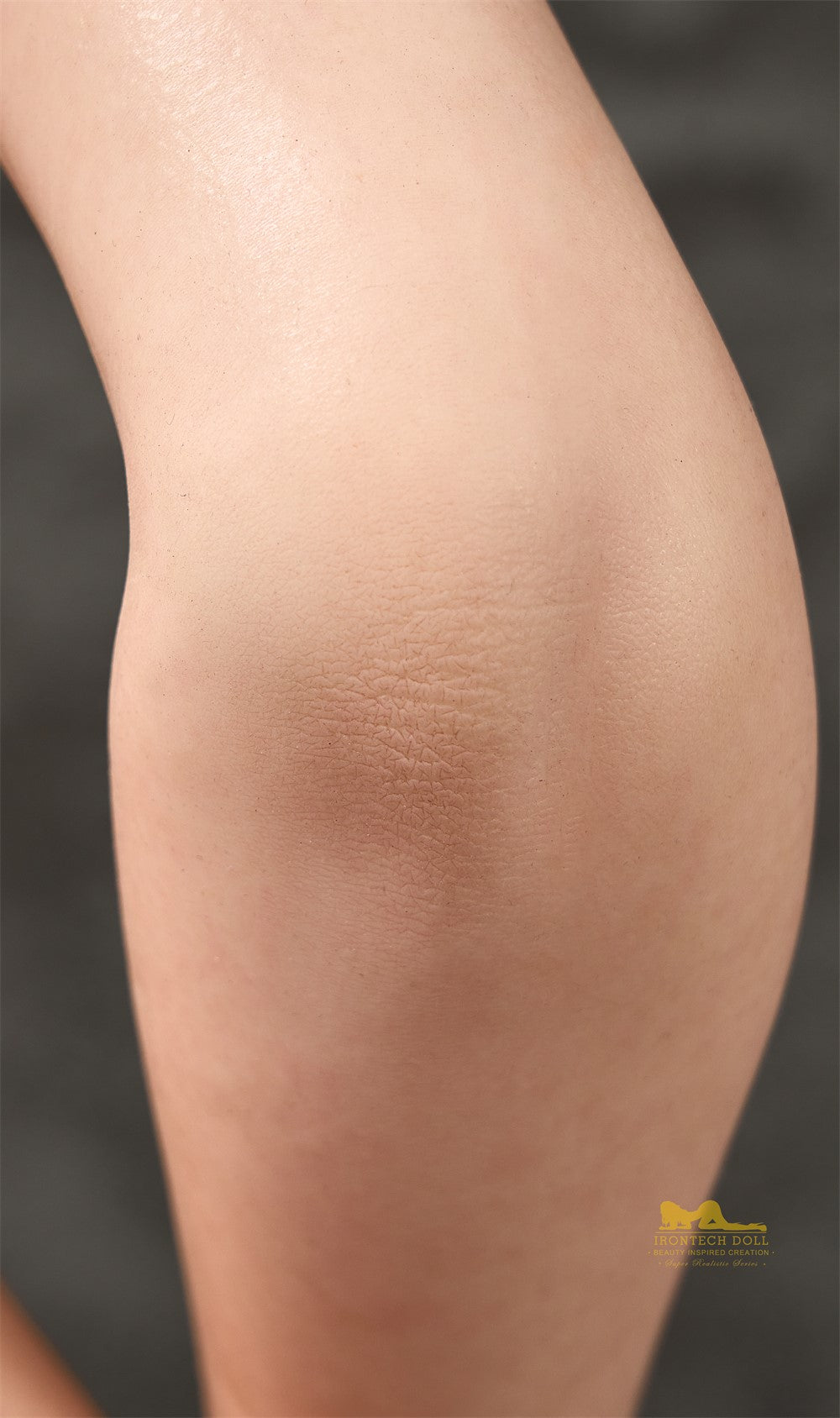 Sasha Sex doll (Irontech Doll 165cm F-cup T5-1 silicone)