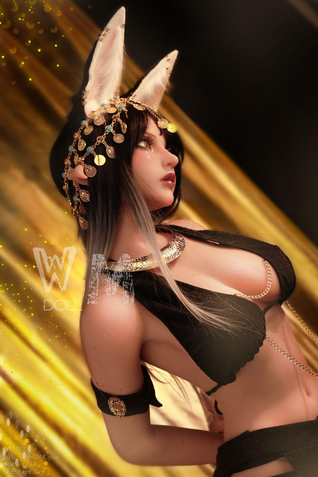 Salome Sex doll (WM-Doll 166cm C-cup #432 TPE)