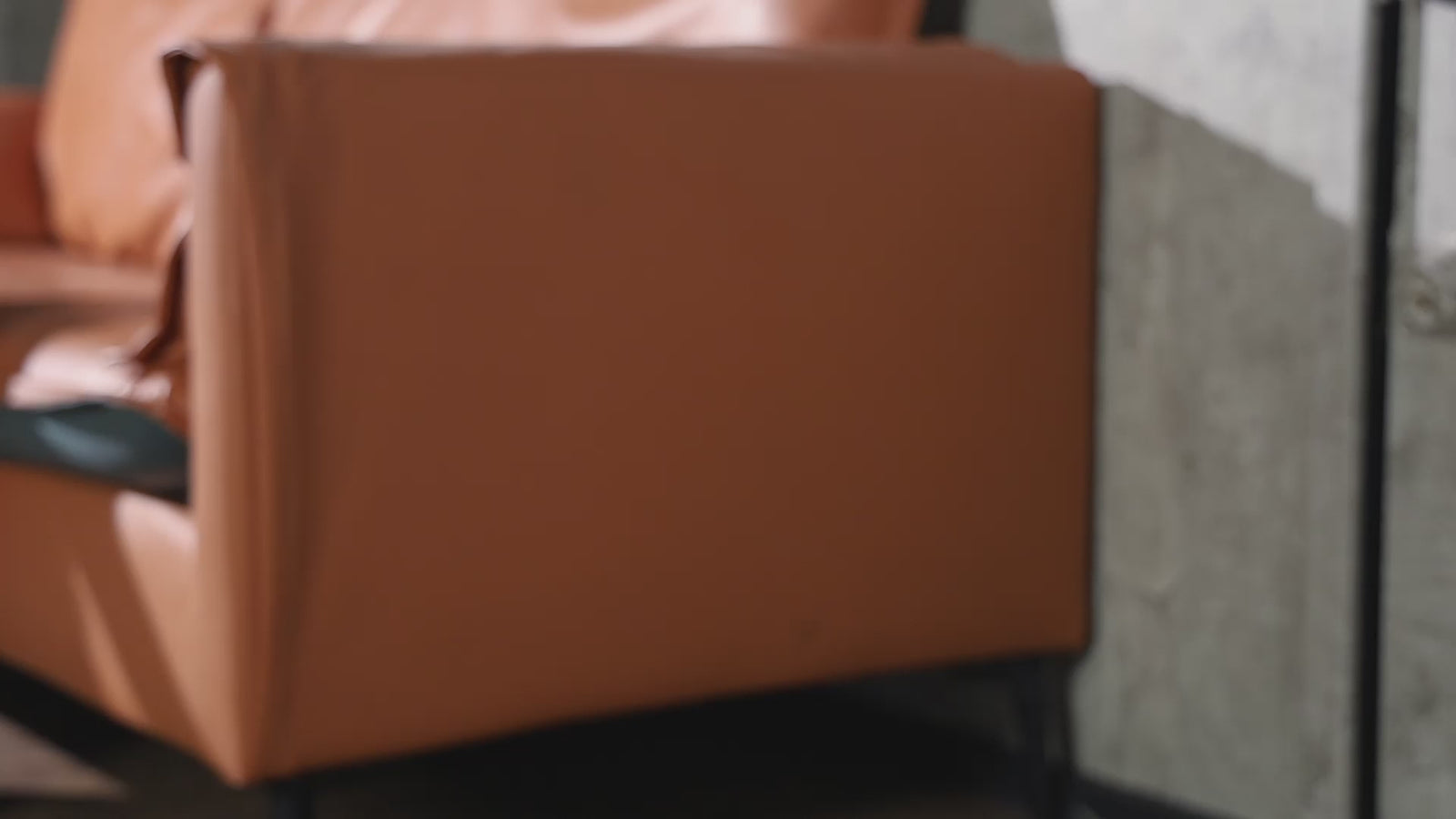 Jenny J Sex doll (SEDoll 167cm E-cup #088SO silicone Pro)