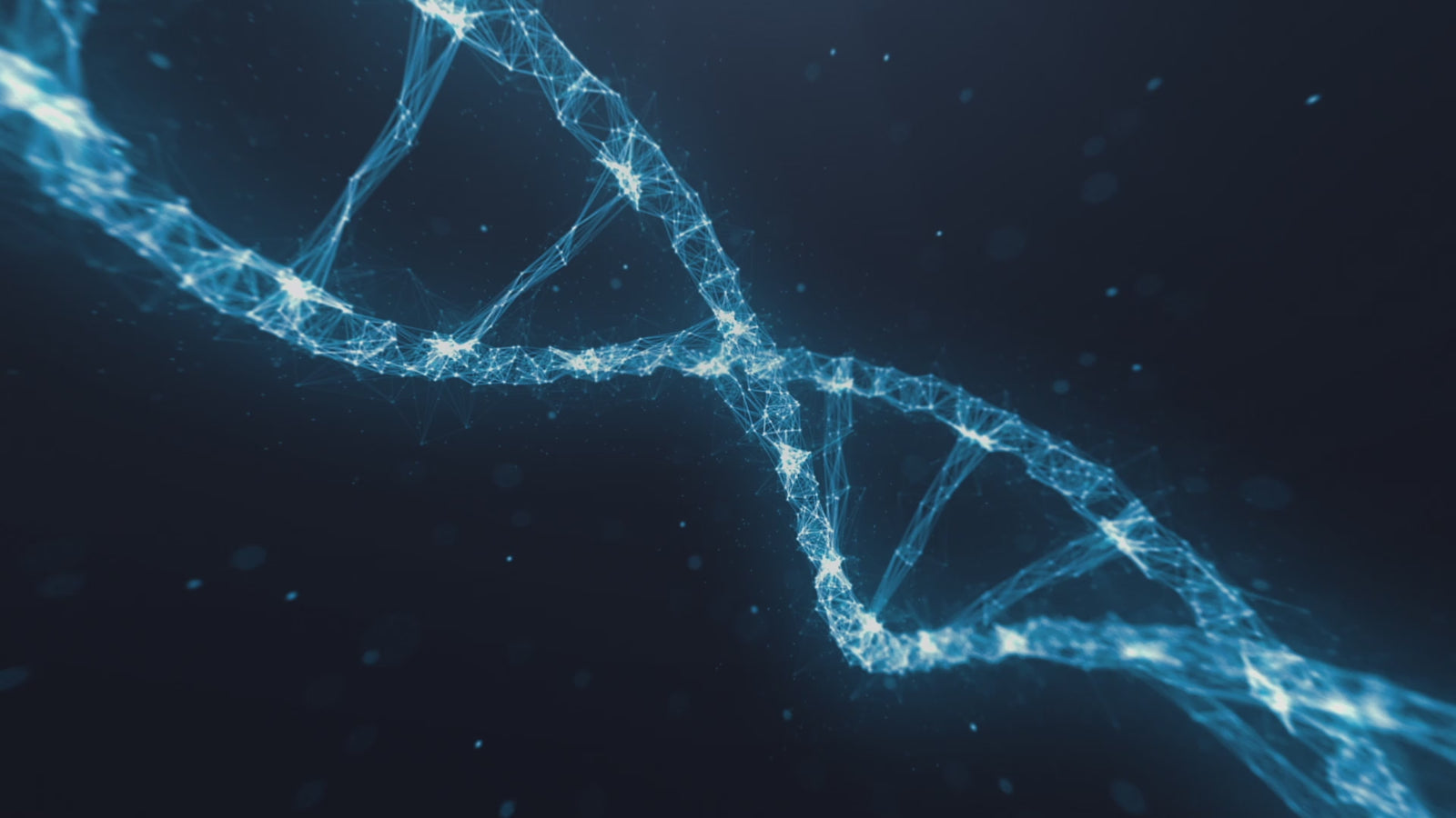 Phoebe Sex doll (XT Doll 164cm C-cup #XT-22 silicone)