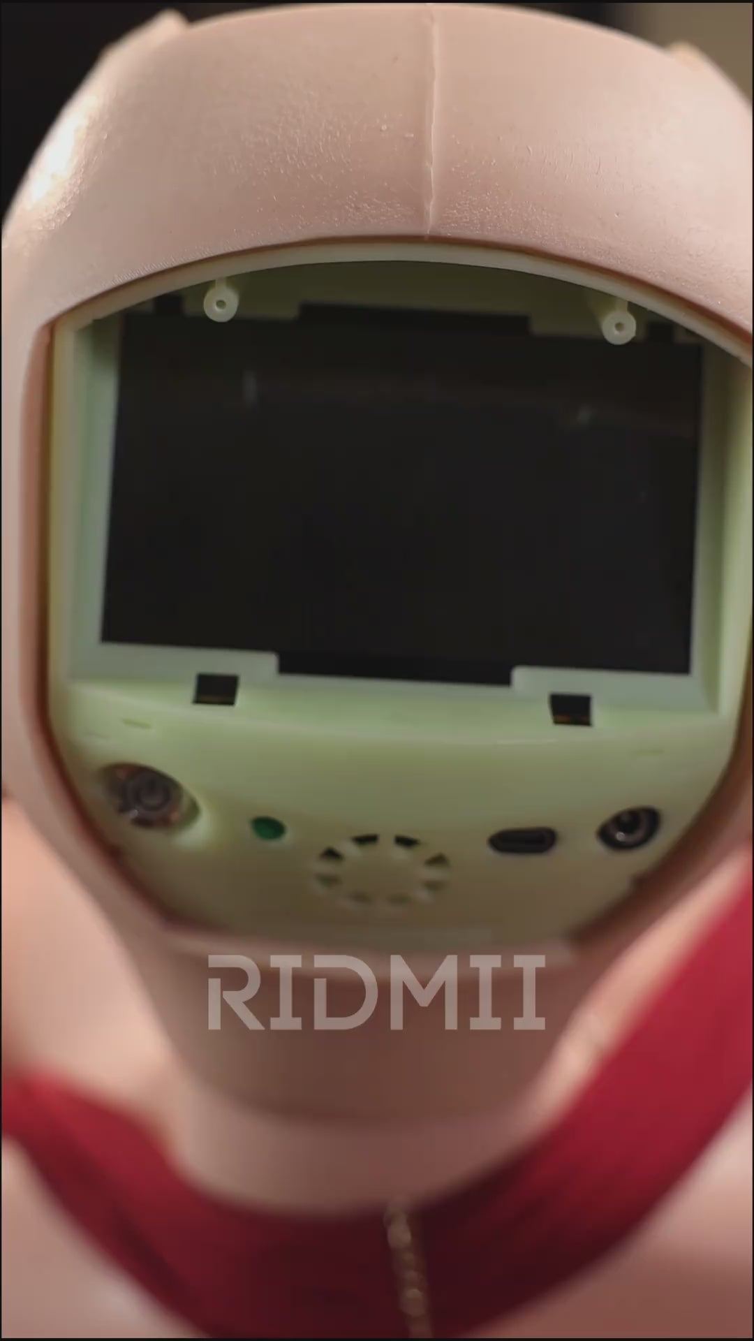 Hain Robot AI Sex doll (Ridmii Doll 163cm C-cup TPE+silicone)