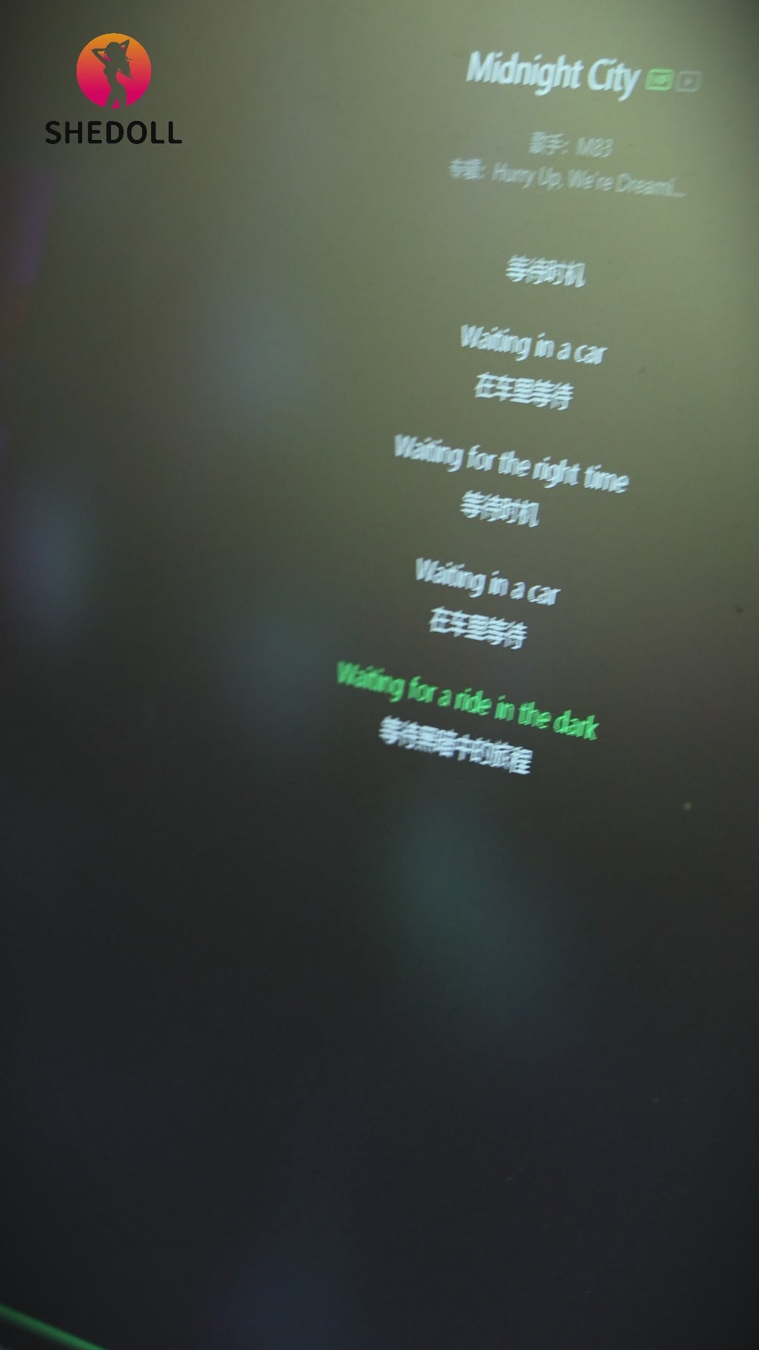 Kosame Sex doll (SHEDOLL 170cm E-cup #SH146 2.0 TPE+silicone)