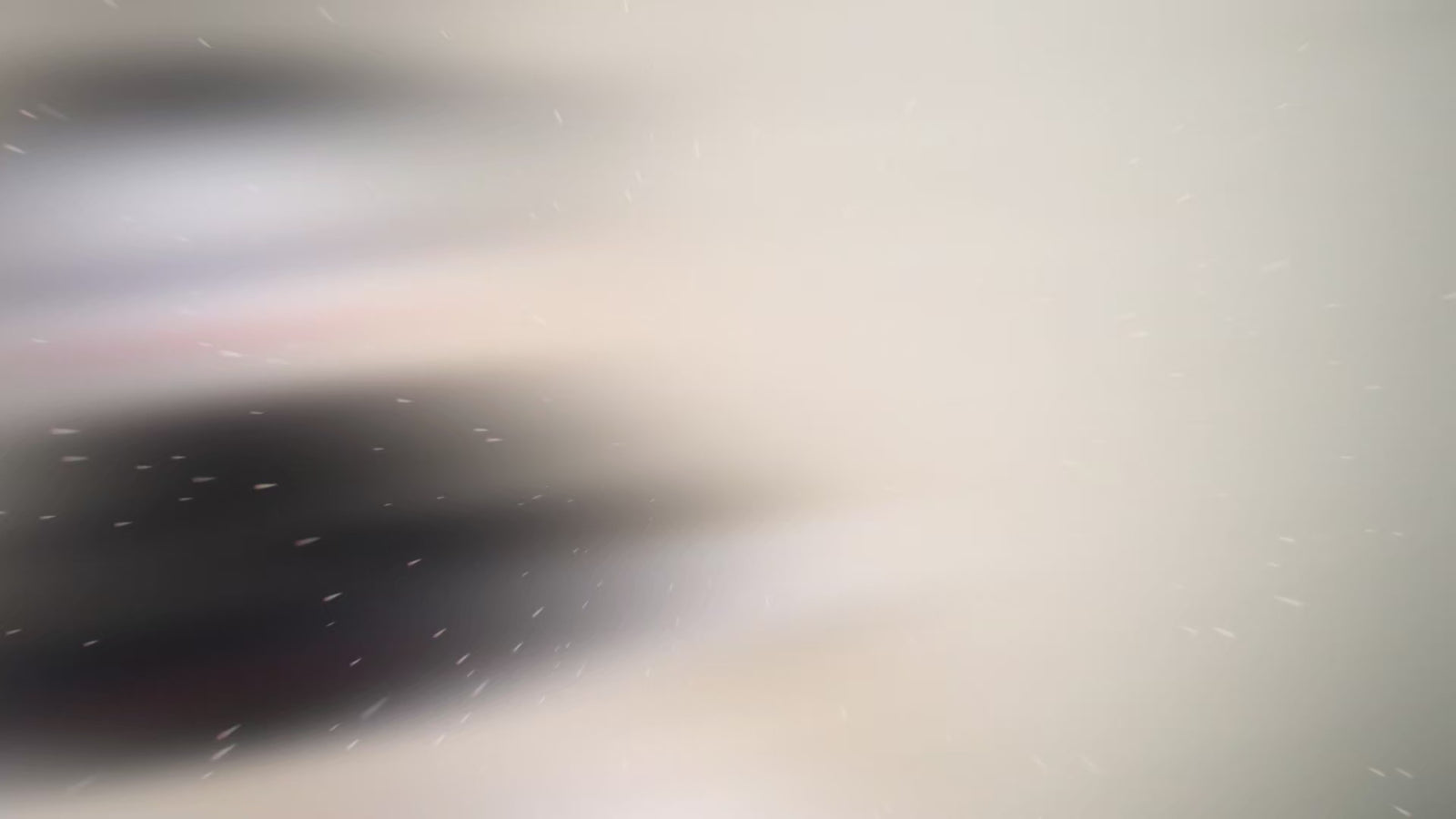 Dot Warner Sex doll (Dolls Castle 118cm B-cup silicone)