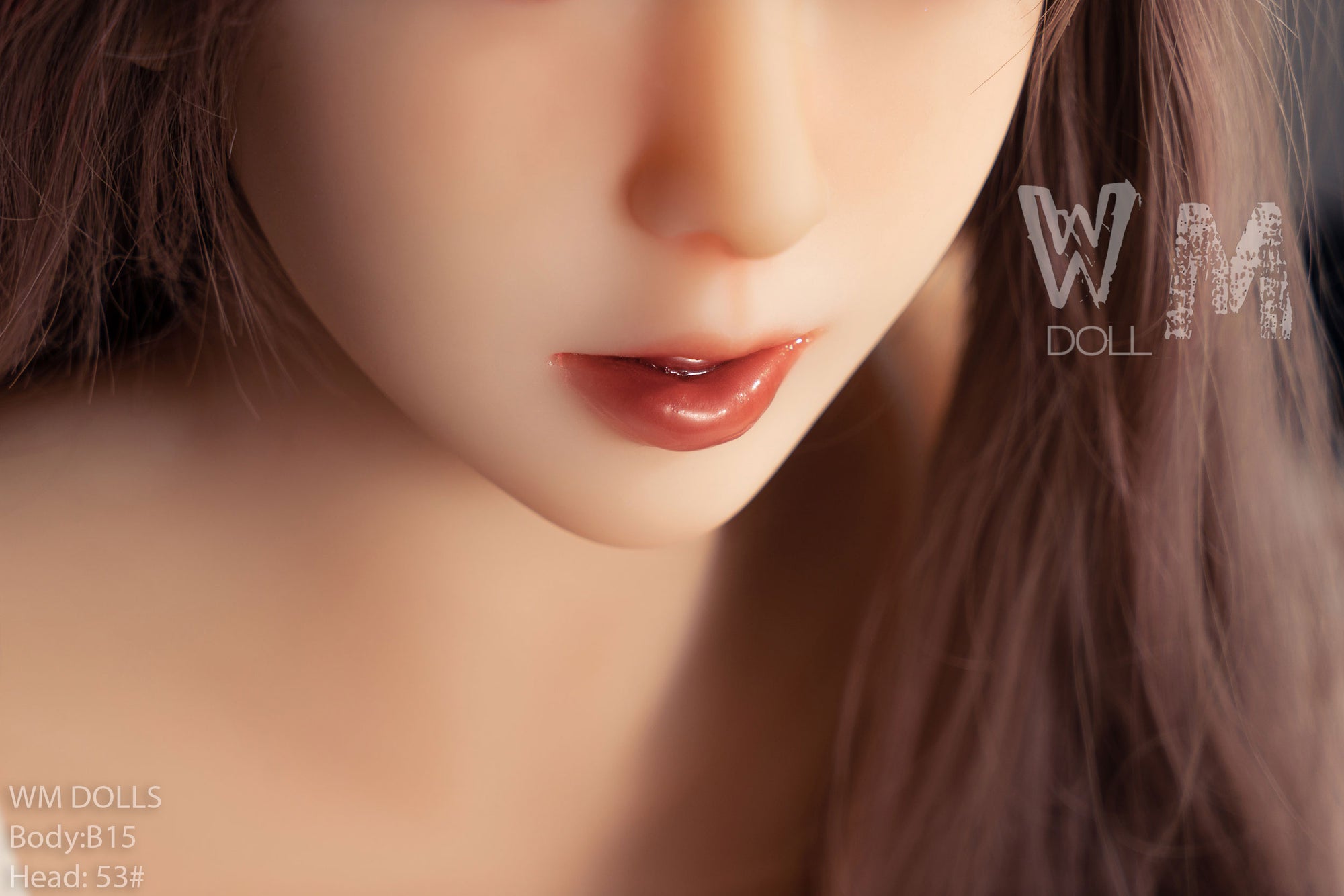 Felicia Sex doll (WM-Doll Torso B15 87cm J-cup #53 TPE)